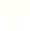 インプラント